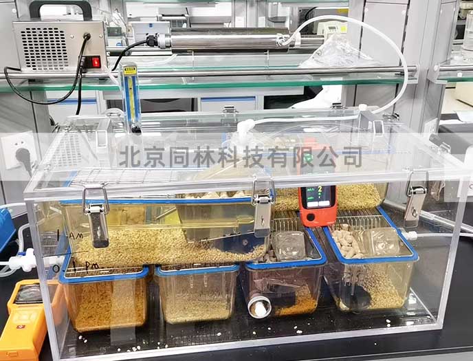 低濃度臭氧對動物的毒性影響