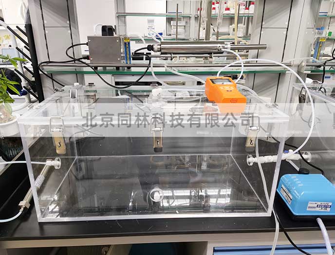 低濃度臭氧對小鼠的毒性影響