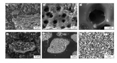 臭氧高級(jí)催化氧化降解鹽酸四環(huán)素實(shí)驗(yàn)